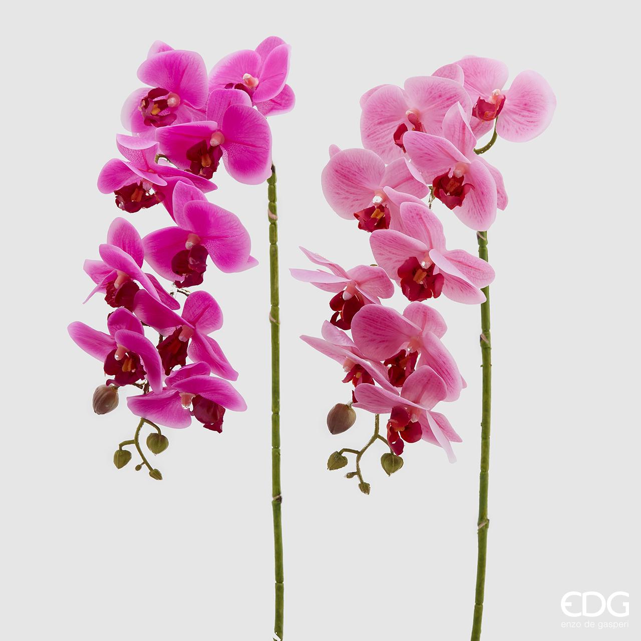 Ramo orchidea Phalaenopsis rosa Real – EDG | | marchesaneinfiore